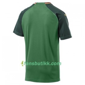 Fotballdrakt Kamerun Hjemmetrøye 2018